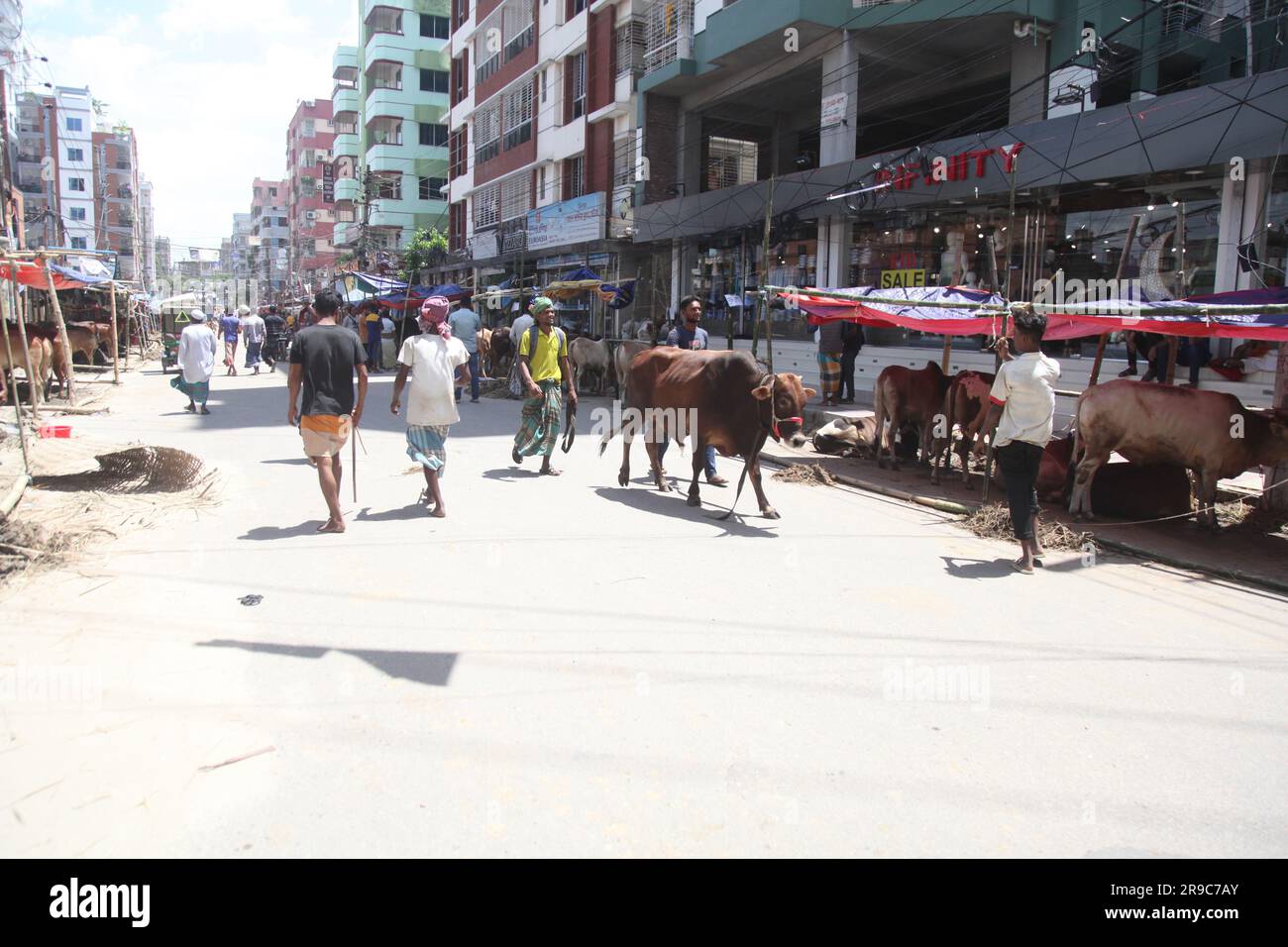 Dhaka Bangladesh 25jun2023, malgré l'interdiction de la corporation de la ville, la cabane de Qorbani est assise sur la route cette photo a été prise dhaka meradia marché de bétail Banque D'Images