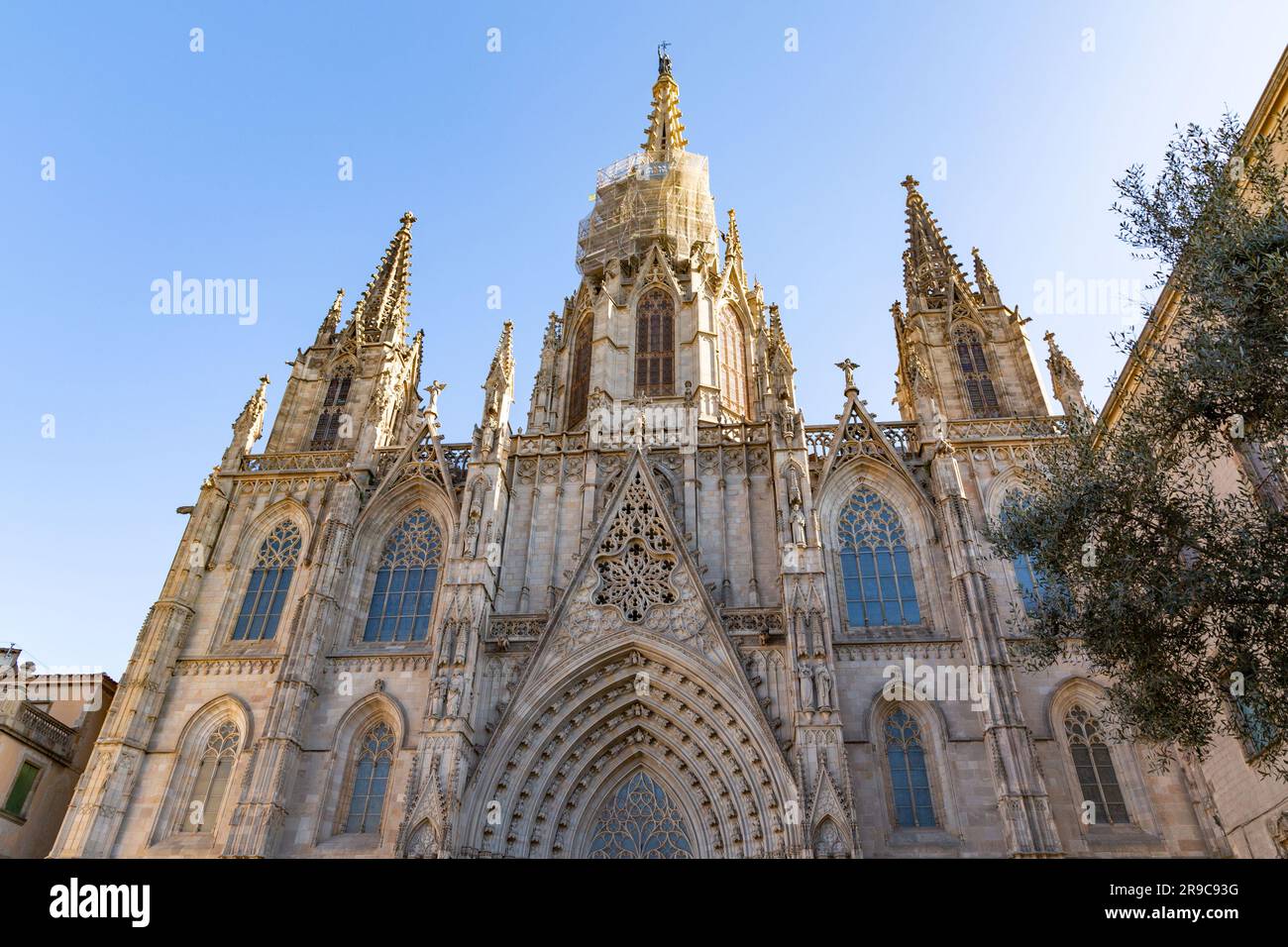 La cathédrale Sainte-Croix et Saint-Eulalia, la cathédrale de Barcelone