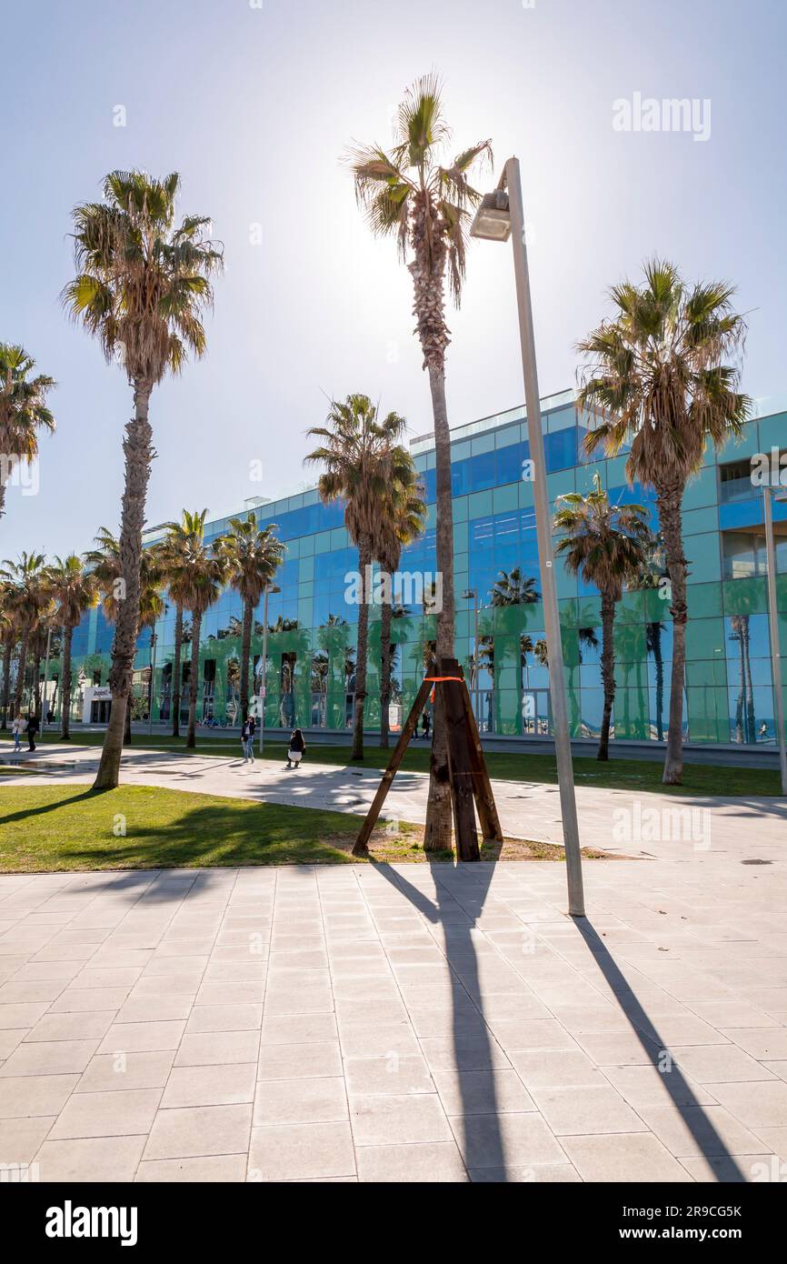 Barcelone, Espagne - 10 FÉVRIER 2022 : le siège de Desigual sur Passeig del Mare Nostrum. La société a été fondée par Thomas Meyer en 1984, et est chef Banque D'Images