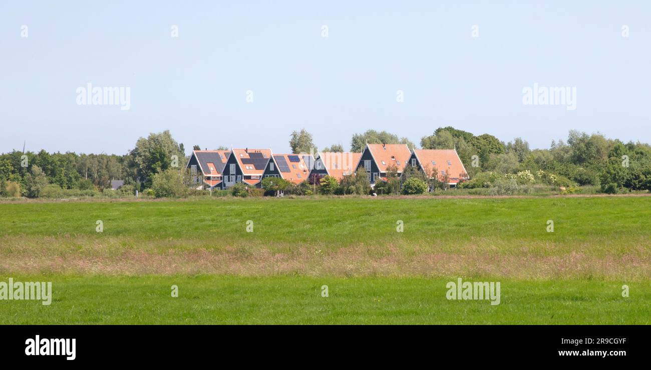 Rangée de maisons traditionnelles en bois dans le paysage agricole près de Leeuwarden, aux pays-Bas Banque D'Images