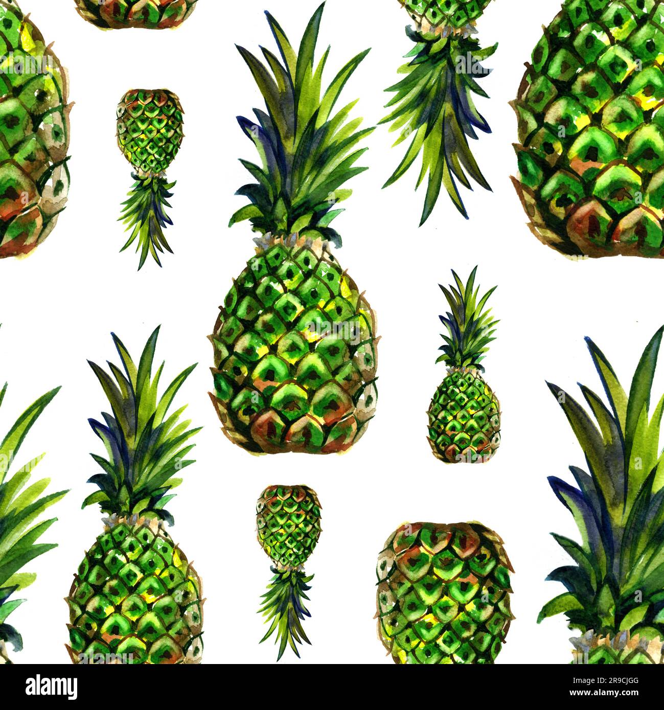 Aquarelle été vert ananas motif sur fond blanc. Fond de fruit de printemps. Banque D'Images