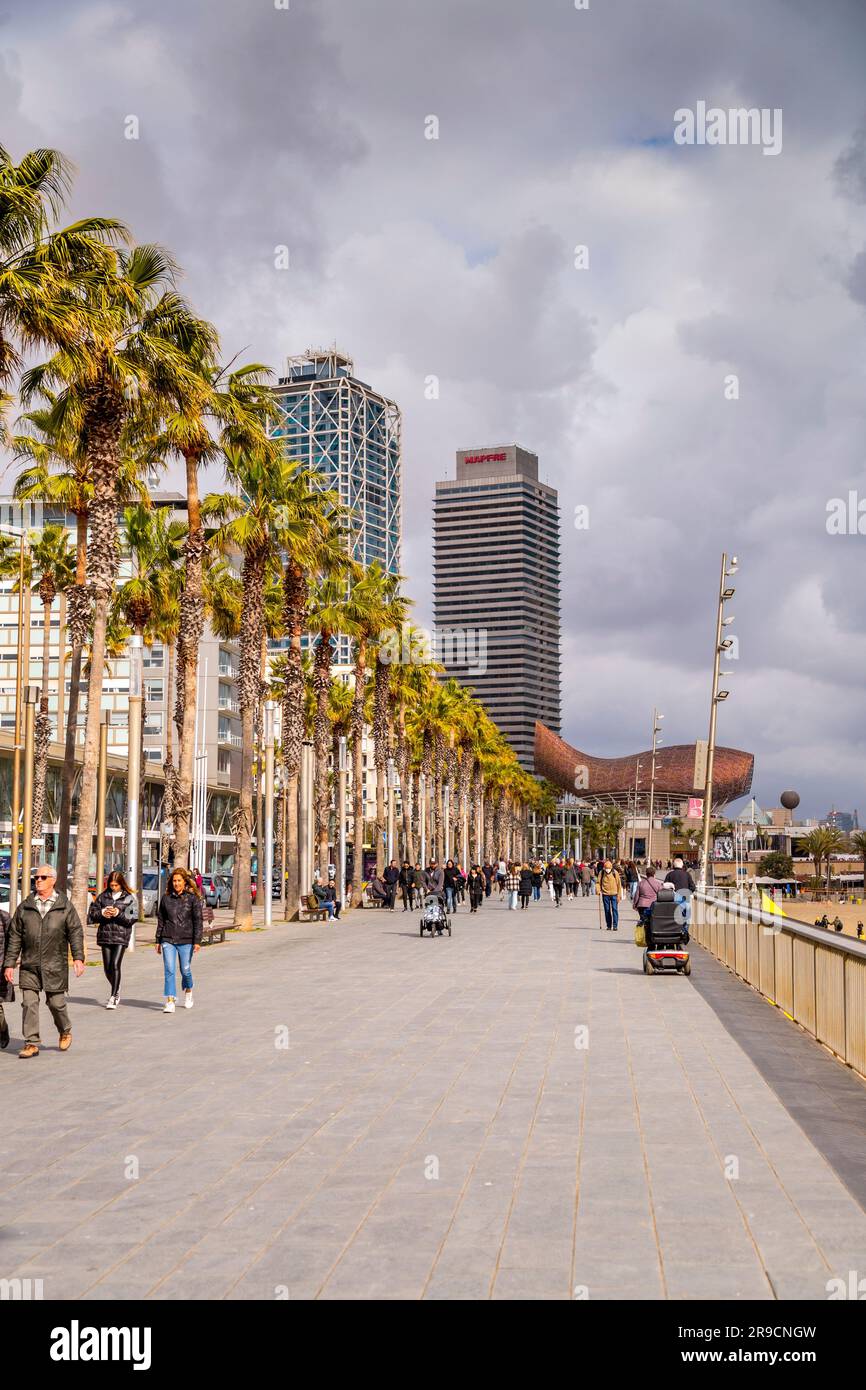 Barcelone, Espagne - 13 FÉVRIER 2022 : la sculpture géante de poissons d'or, El Peix de Frank Gehry, située sur le port Olypmique de Barcelone, Catalogne, Espagne. Banque D'Images