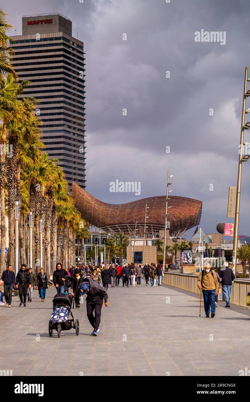 Barcelone, Espagne - 13 FÉVRIER 2022 : la sculpture géante de poissons d'or, El Peix de Frank Gehry, située sur le port Olypmique de Barcelone, Catalogne, Espagne. Banque D'Images