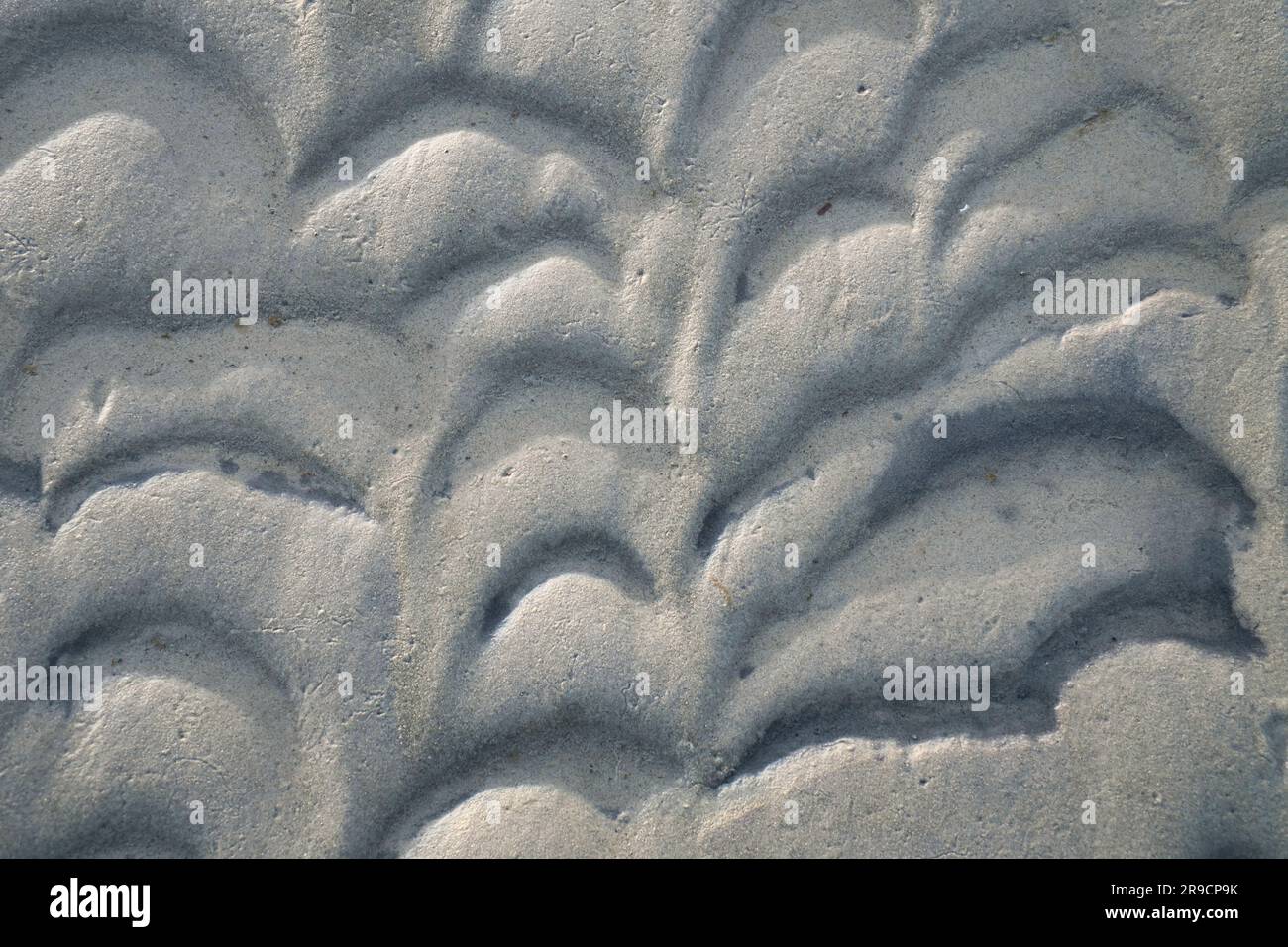 Structure dans le sable fait par les vagues. Vue sur le sol à marée basse. Photo de la nature de la côte Banque D'Images