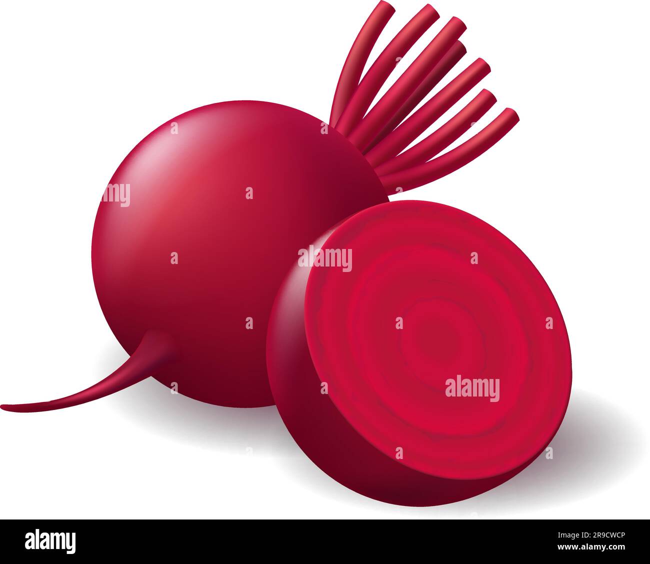 Légume de betterave fraîche photo réaliste Illustration de Vecteur