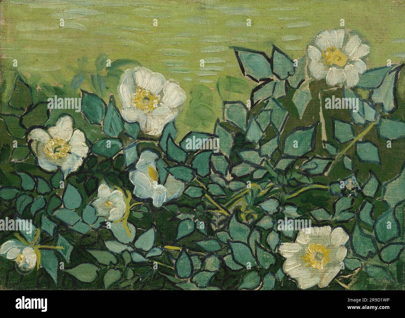 Vincent van Gogh – Roses sauvages 1890 Banque D'Images