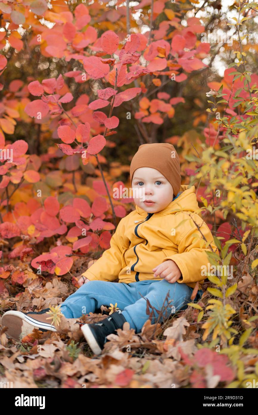 Portrait de bébé d'automne en feuilles jaune et rouge d'automne, petit enfant en vêtements orange, beau enfant dans le parc extérieur en octobre saison. Banque D'Images