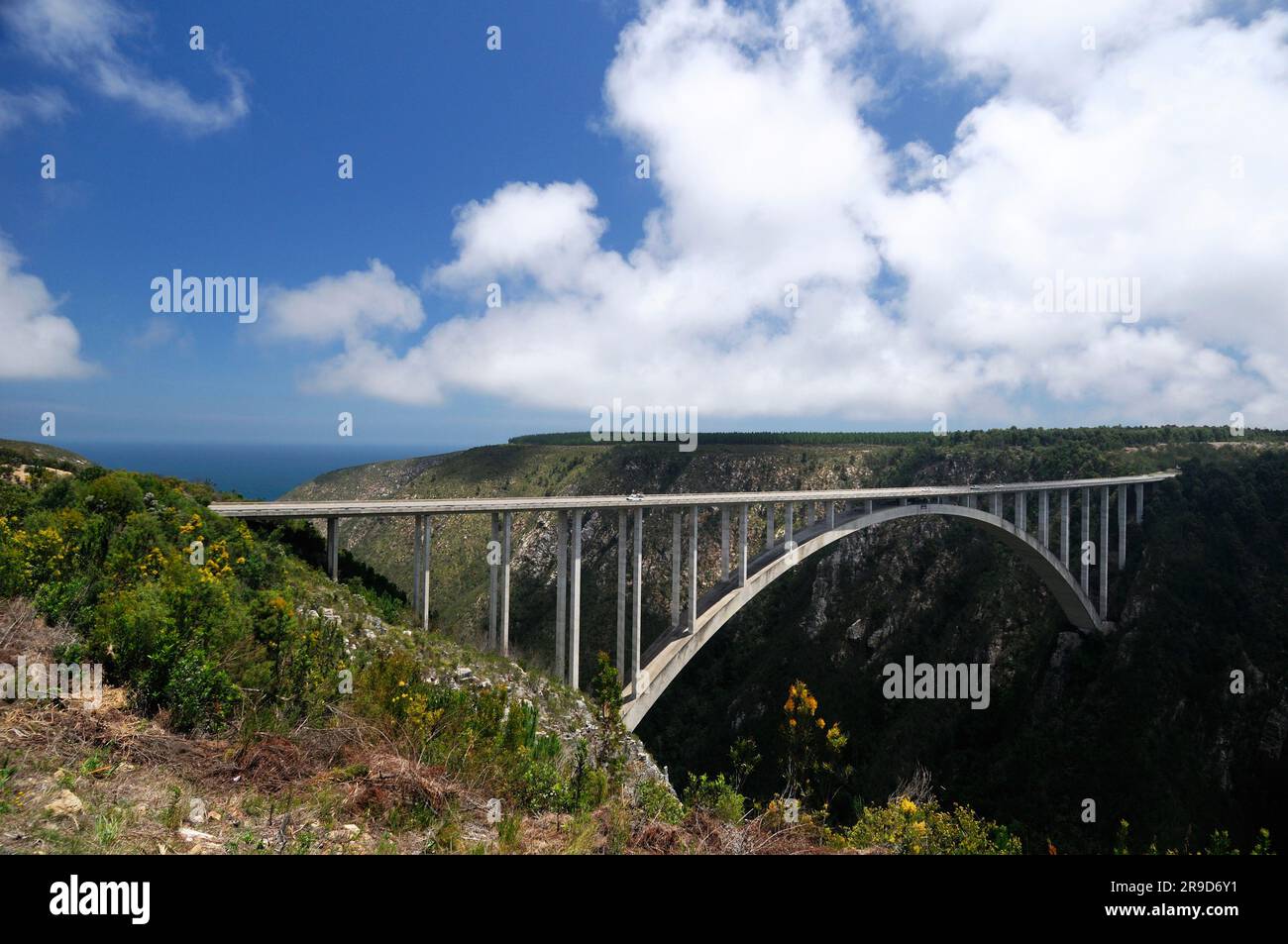 Bloukrans Bridge, Bungy Jumping, Storms River Mouth, Garden route, Eastern Cape, Afrique du Sud Banque D'Images