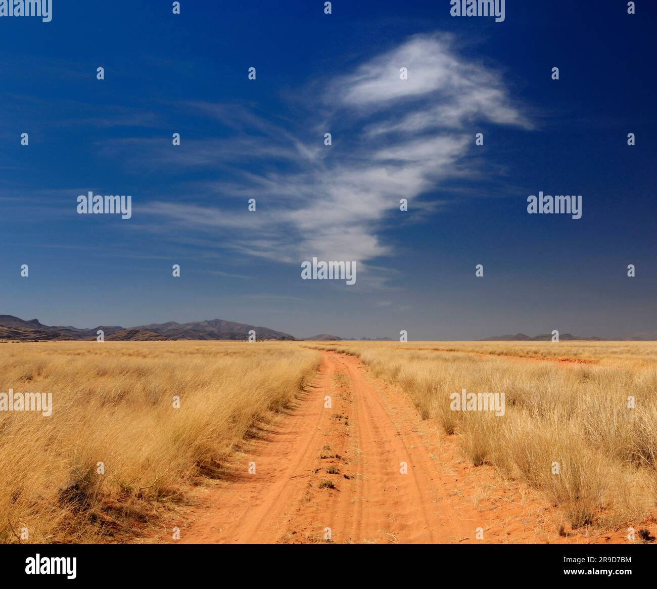 Chemin de sable près de Purros, Kaokoland, région de Kunene, Namibie Banque D'Images