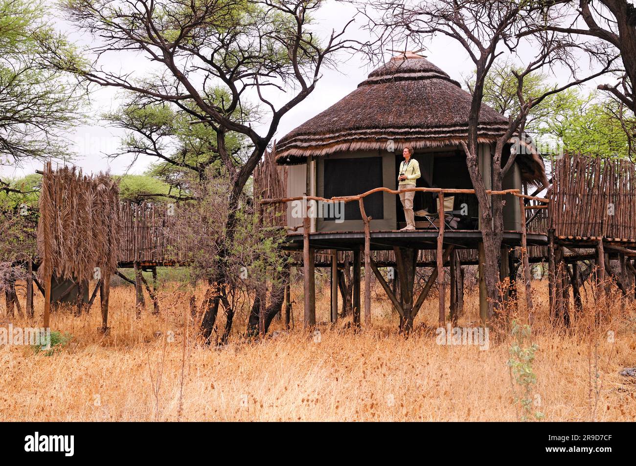 Onguma Tree Top Tented Camp, Onguma Safari Camp, près du parc national d'Etosha, région de Kunene, Namibie Banque D'Images