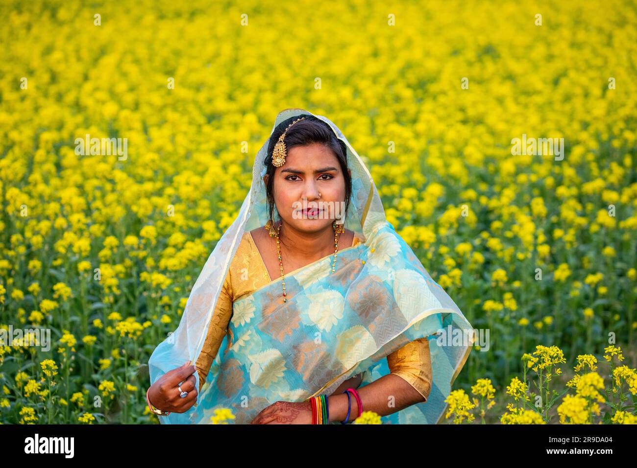 Une femme bangladaise nouvellement mariée à l'intérieur d'un champ de moutarde à Singair à Manikganj, au Bangladesh. Banque D'Images