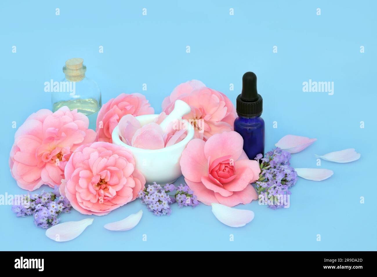 Essence aromathérapie de fleur de rose et de lavande avec des fleurs roses sur bleu.. Médecine naturelle florale alternative à base de plantes pour traiter les problèmes de peau, l'insomnie. Banque D'Images