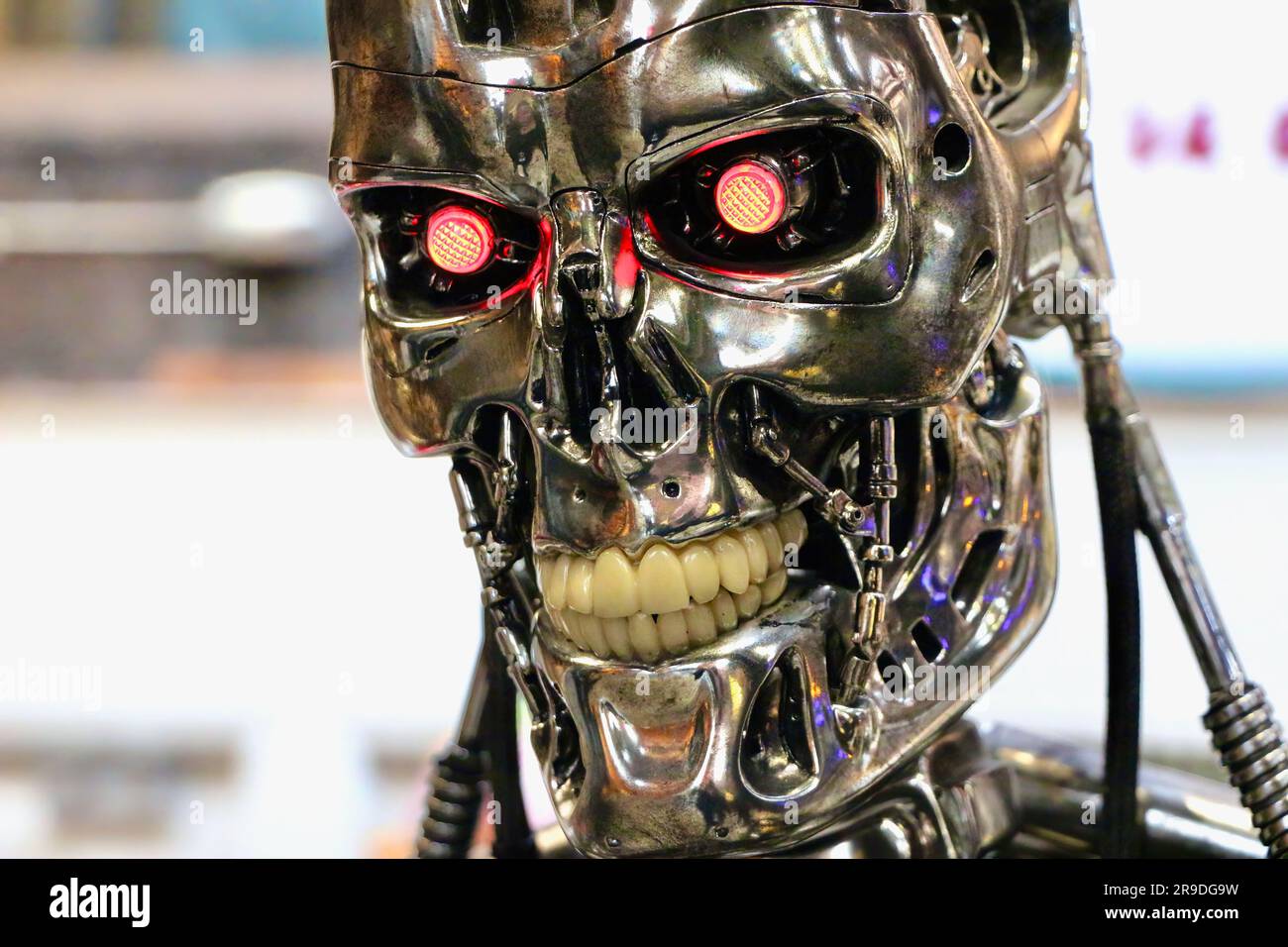 Gros plan de la tête du robot Terminator avec dents dénudées dans l'affichage prop Paramount Studios Hollywood Los Angeles California USA Banque D'Images