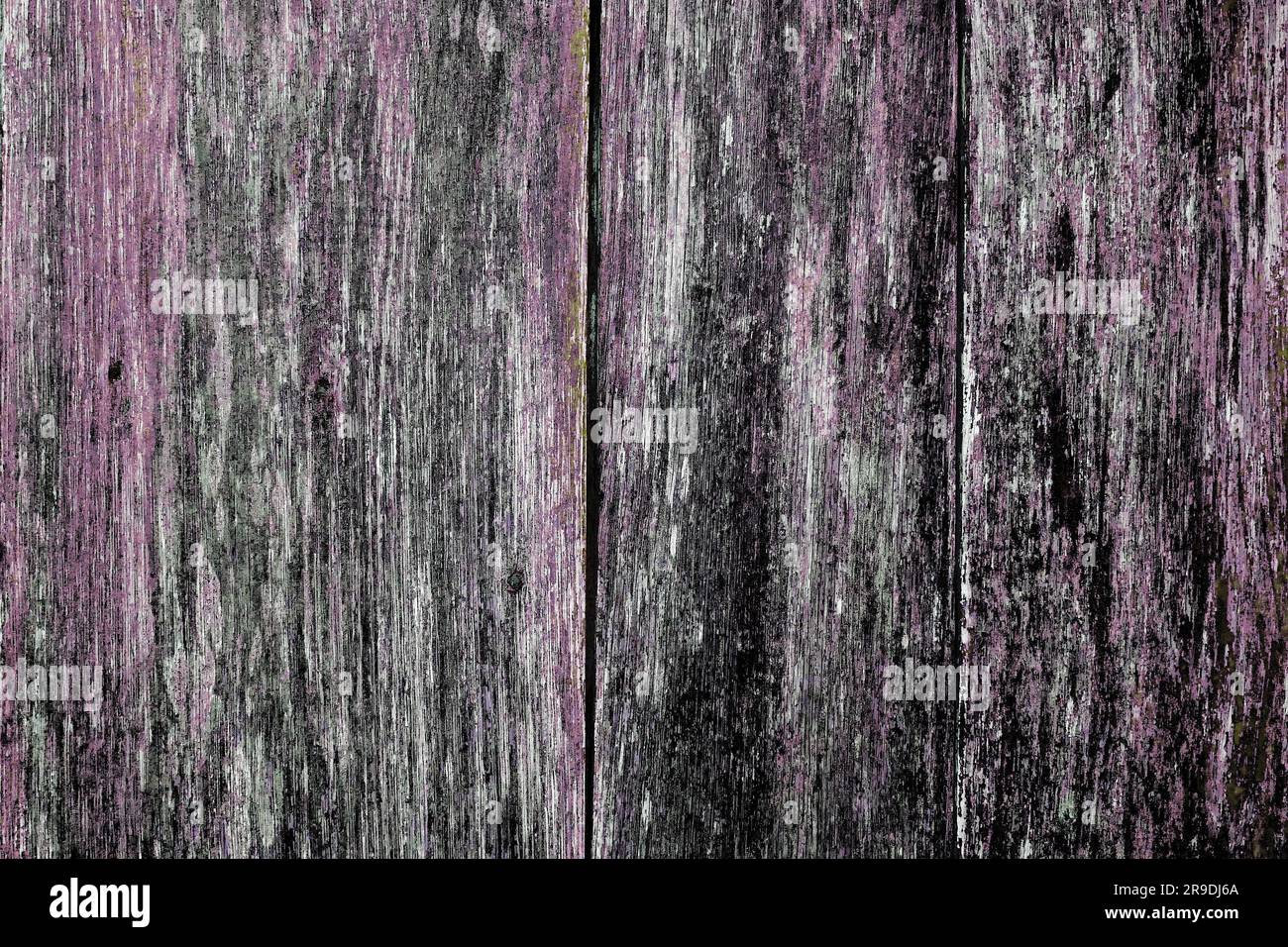 Planches de couleur violet et noir. La peinture a presque disparu. Structure en bois dans des couleurs inhabituelles. Fond grunge Banque D'Images