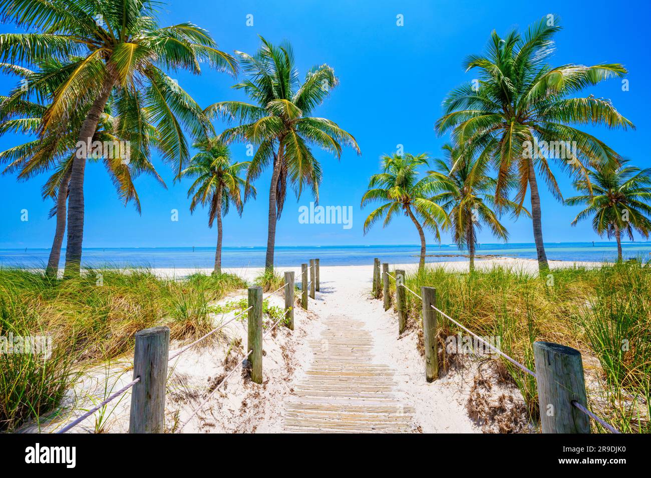 Smathers Beach, magnifiquement encadré par Palm Trees Key West, Floride, États-Unis Banque D'Images