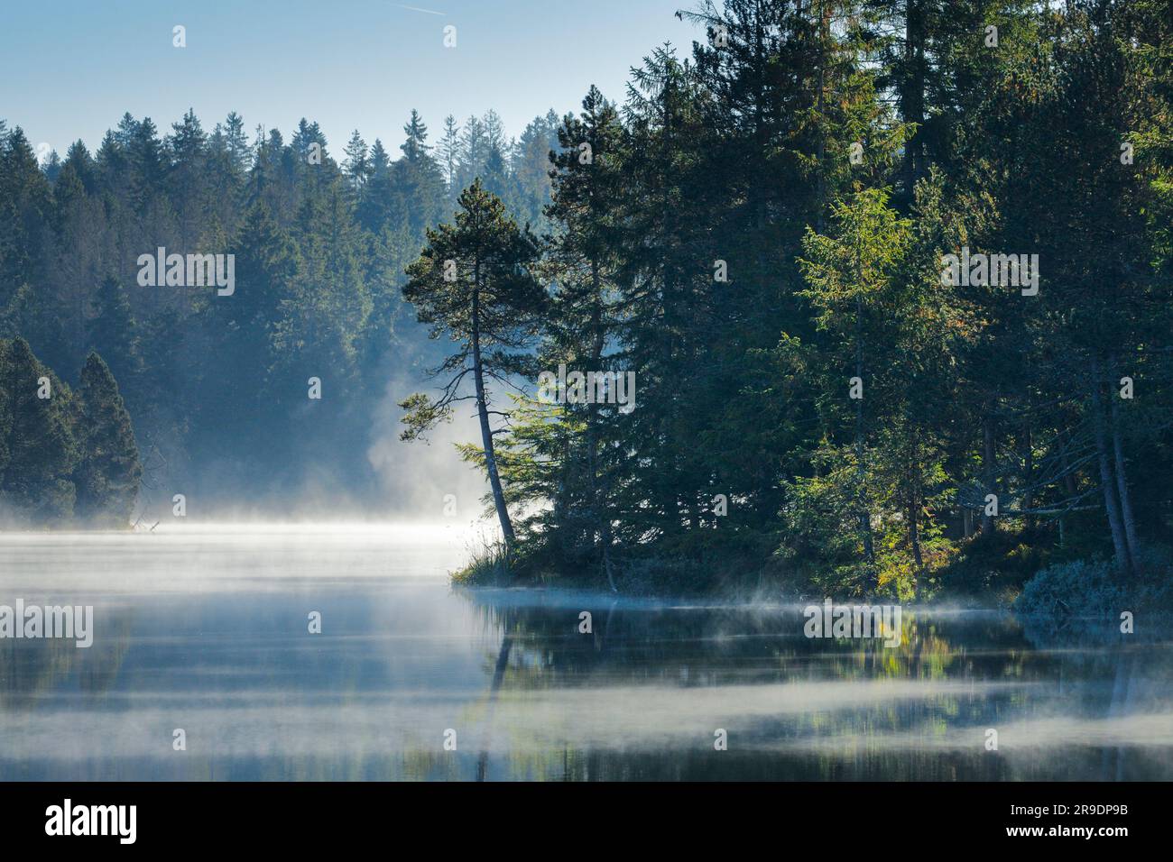 Brume au-dessus du lac calme des landes Etang de la Gruère dans le canton du Jura, Suisse Banque D'Images