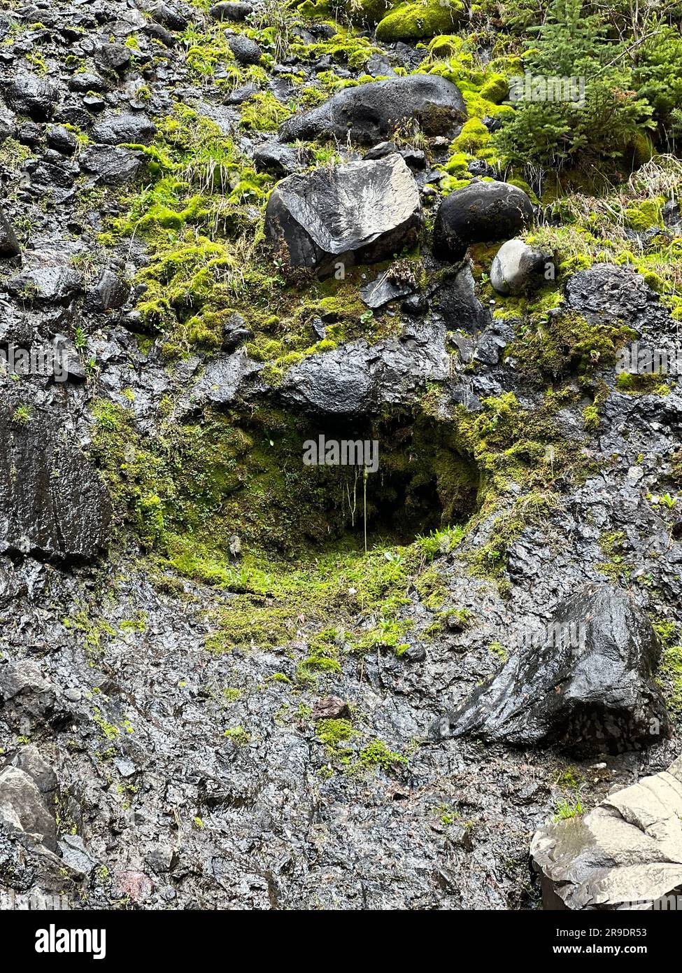 Un sentier de terre menant à travers un terrain rocheux, avec de petites crevasses et des ouvertures partout Banque D'Images
