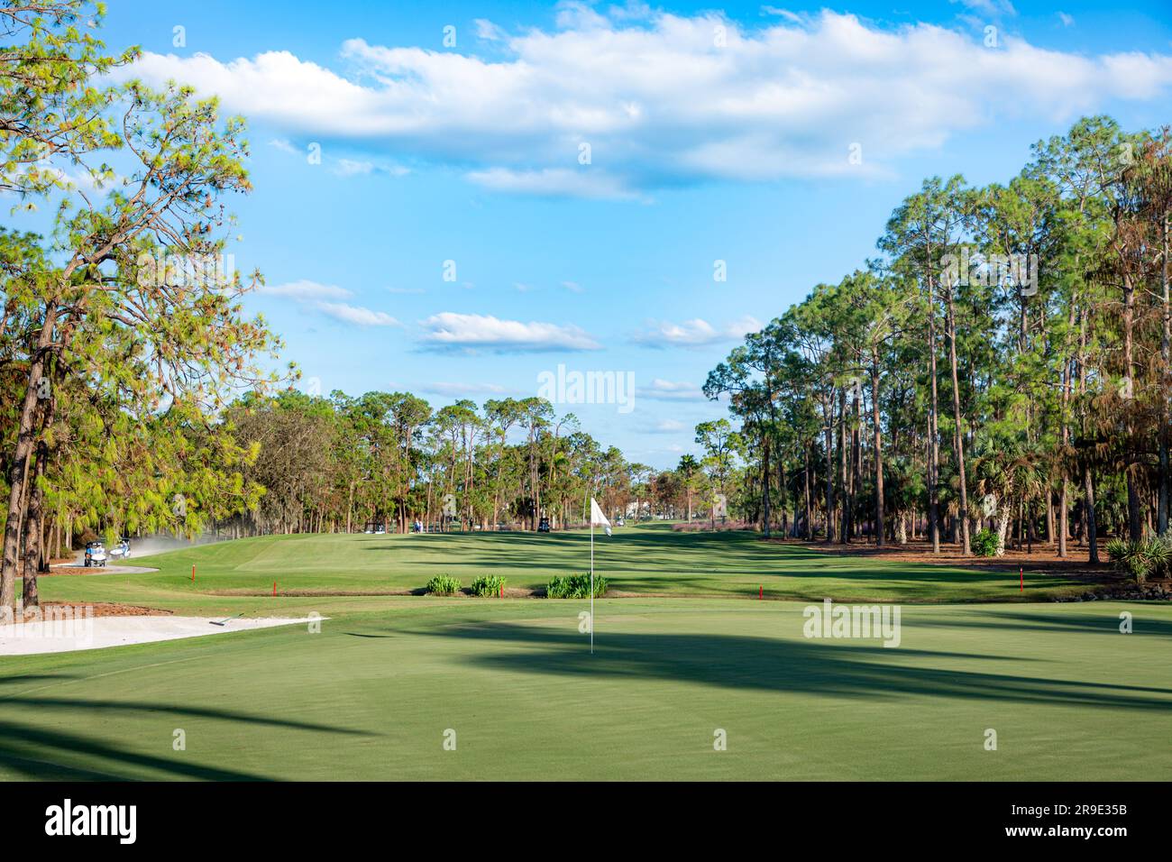 Green and Fairway, Quail Creek Country Club, Naples, Floride, États-Unis Banque D'Images