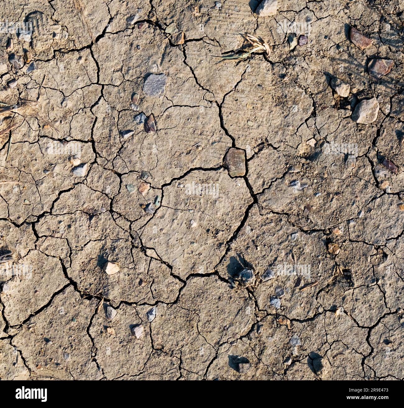 Arrière-plan fissuré avec le sol. Plan de dessus de terre très sèche avec des larmes et des pierres. Concept de pénurie d'eau. Concept de réchauffement climatique. Banque D'Images