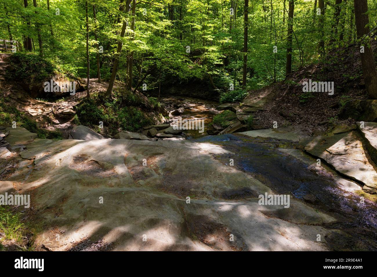 Randonnée jusqu'aux chutes Blue Hen dans le parc national de Cuyahoga Valley, Ohio, États-Unis. Banque D'Images