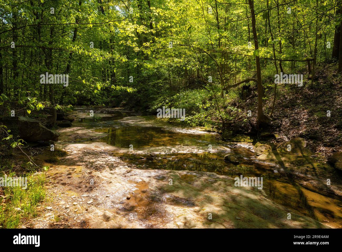 Randonnée jusqu'aux chutes Blue Hen dans le parc national de Cuyahoga Valley, Ohio, États-Unis. Banque D'Images