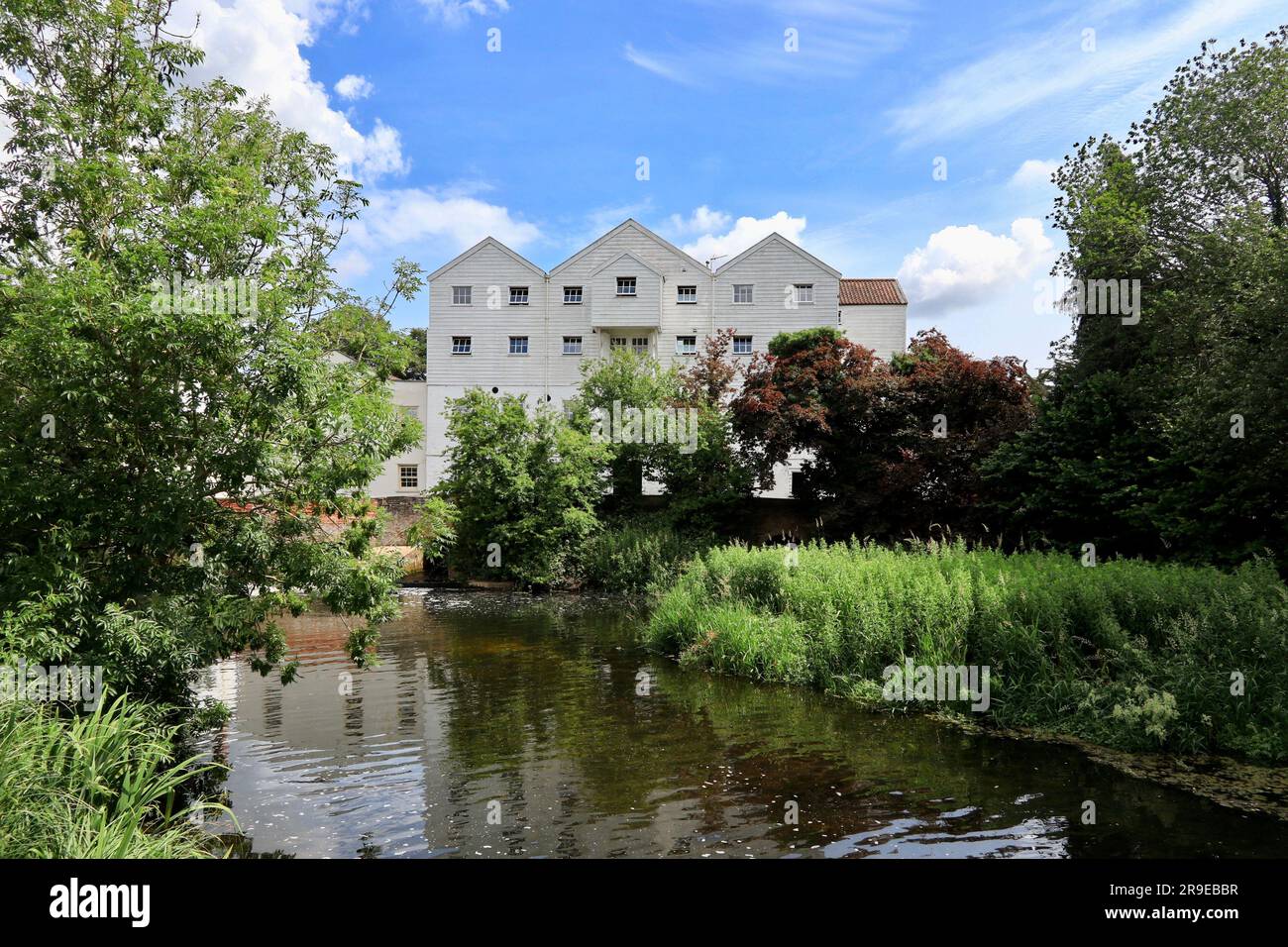 Le moulin à eau de Buxton avec Lamas. Banque D'Images