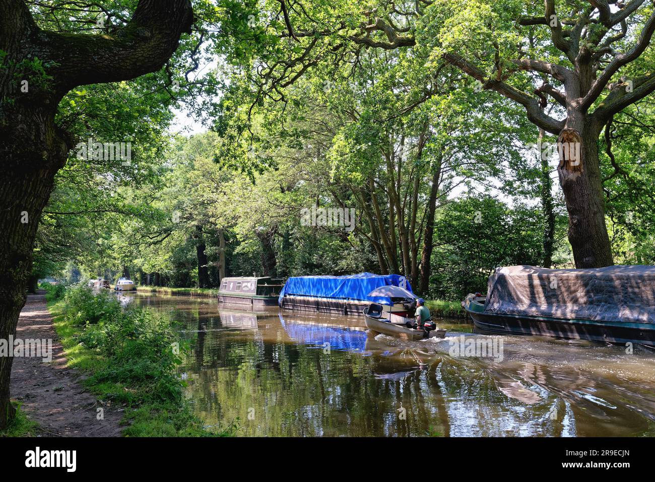 Un petit bateau avec moteur hors-bord naviguant le long du canal de navigation de la rivière Wey à Pyrford, un jour ensoleillé d'été, Surrey Angleterre Royaume-Uni Banque D'Images