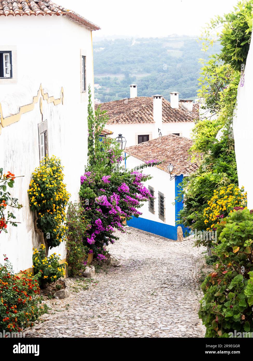 Des maisons traditionnelles en pierre blanche avec des toits carrelés et des buissons fleuris décorent les murs des maisons et de la route pavée en bas de la vieille ville Banque D'Images