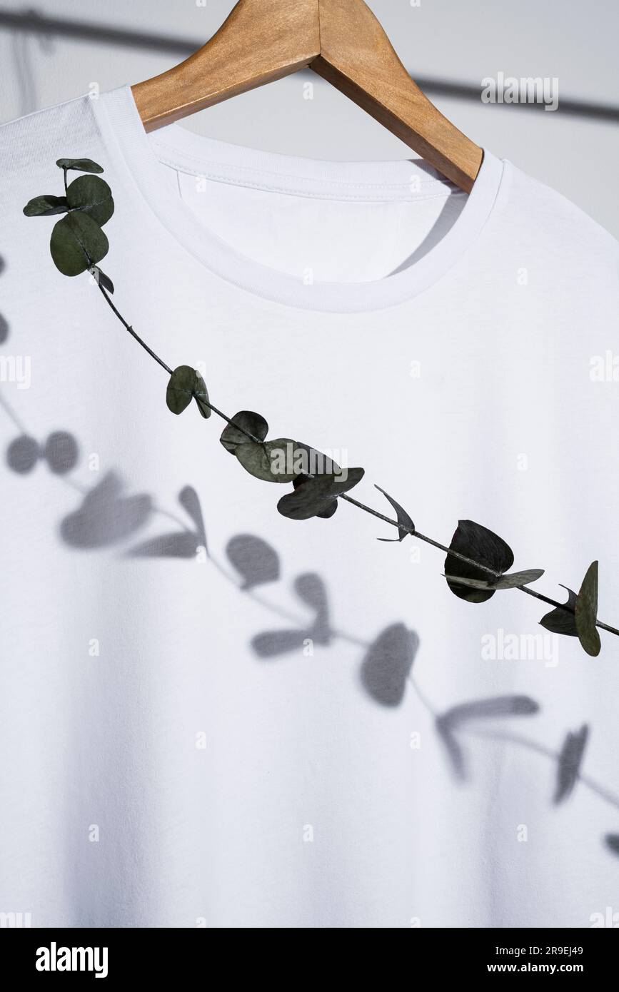 Maquette de t-shirt blanc vierge, modèle sur cintre en bois avec branche d'eucalyptus Banque D'Images