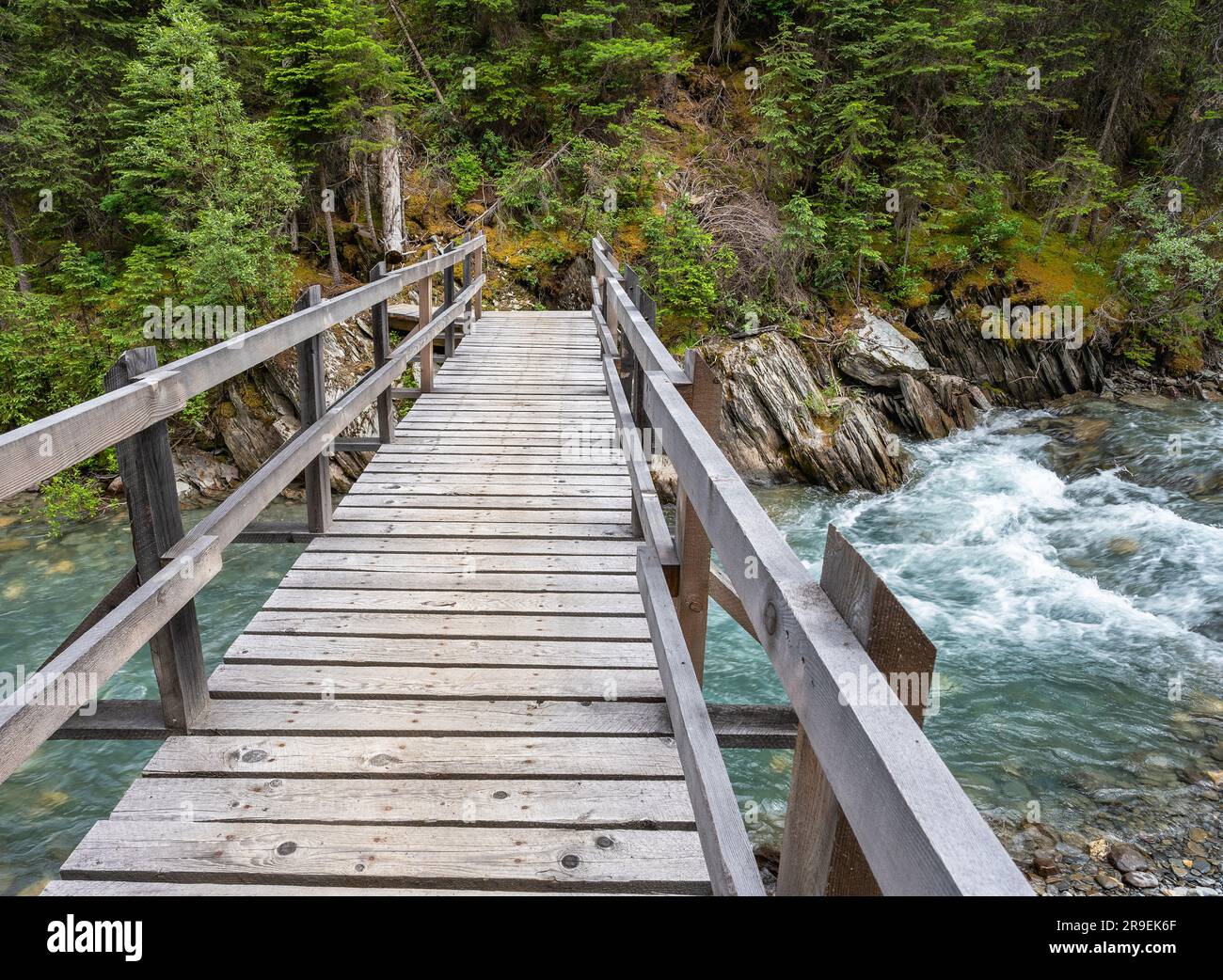 Pont de randonnée traversant le ruisseau Numa dans le parc national Kootenay, Colombie-Britannique, Canada Banque D'Images