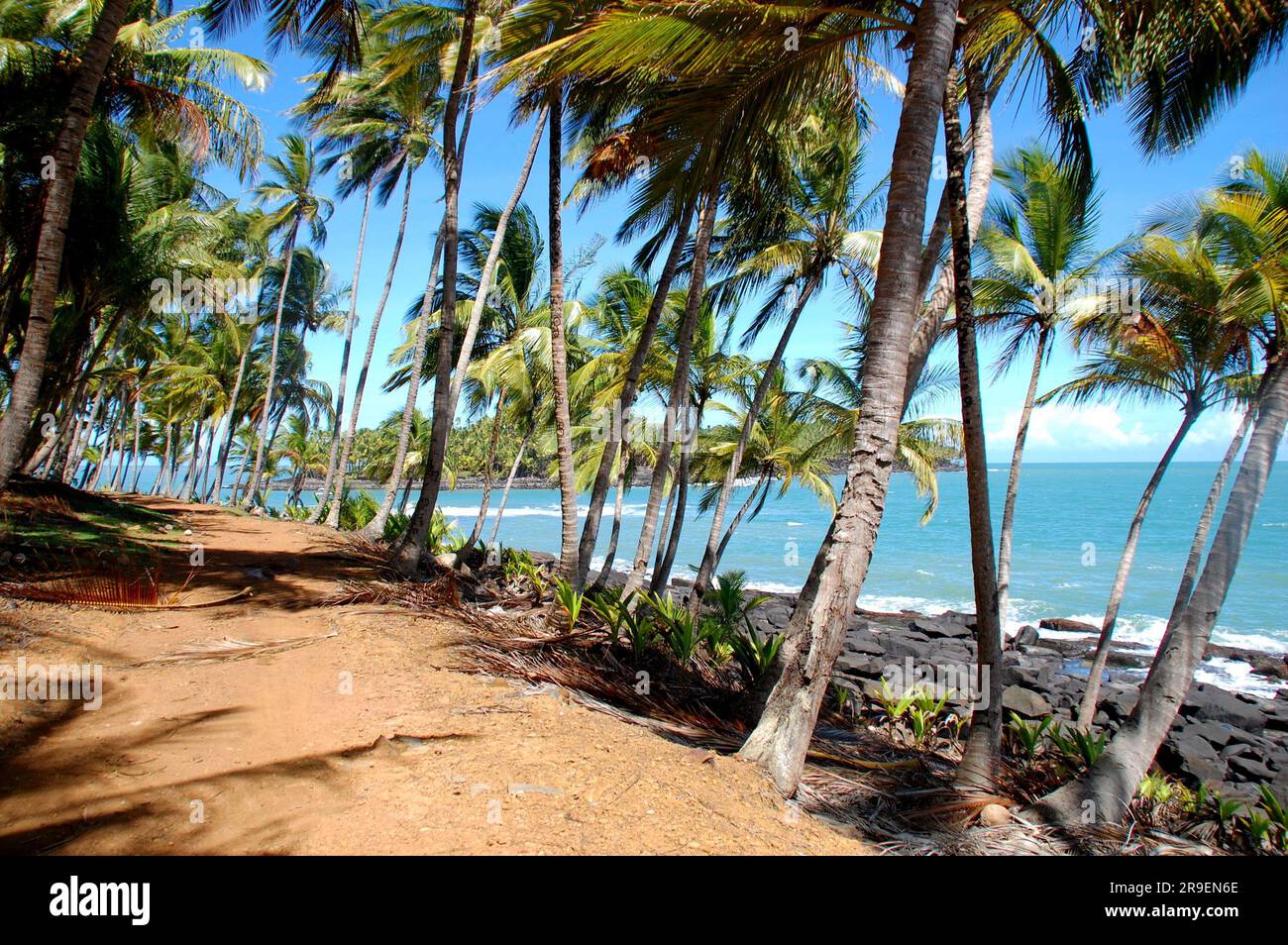 Amérique du Sud, Guyana, Kourou, le chemin côtier de l'île royale bordé de coconuts face à l'océan atlantique et à l'île du diable. Banque D'Images