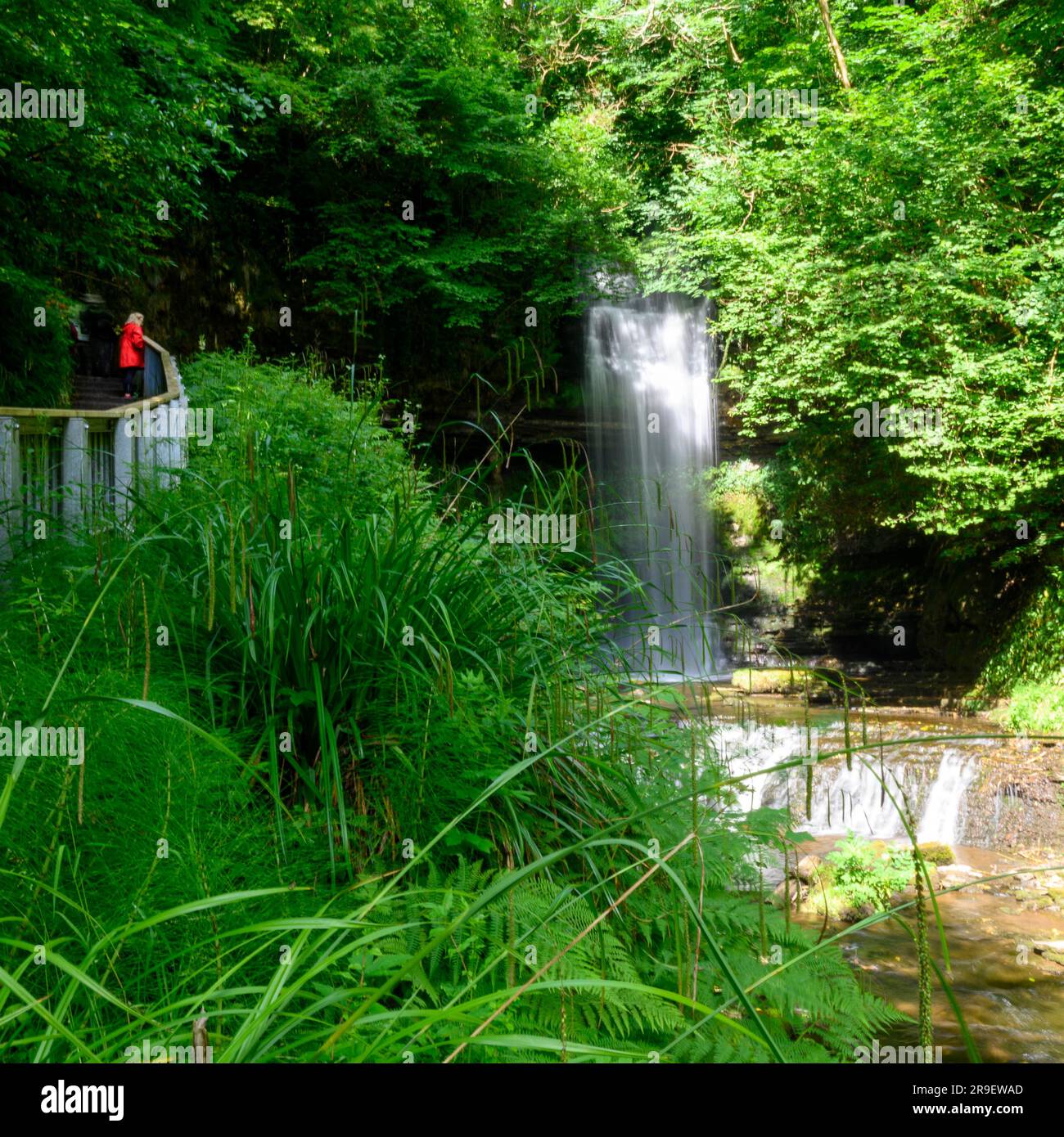 Cascade de Glencar, Comté de Sligo, Irlande Banque D'Images