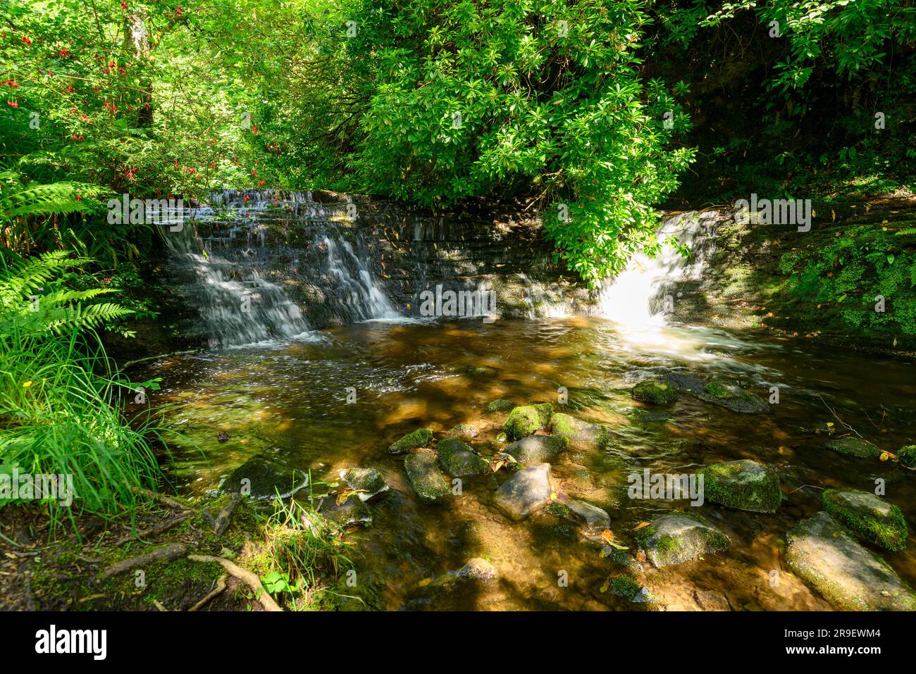 Petites cascades près de la chute d'eau de Glencar, comté de Sligo, Irlande Banque D'Images