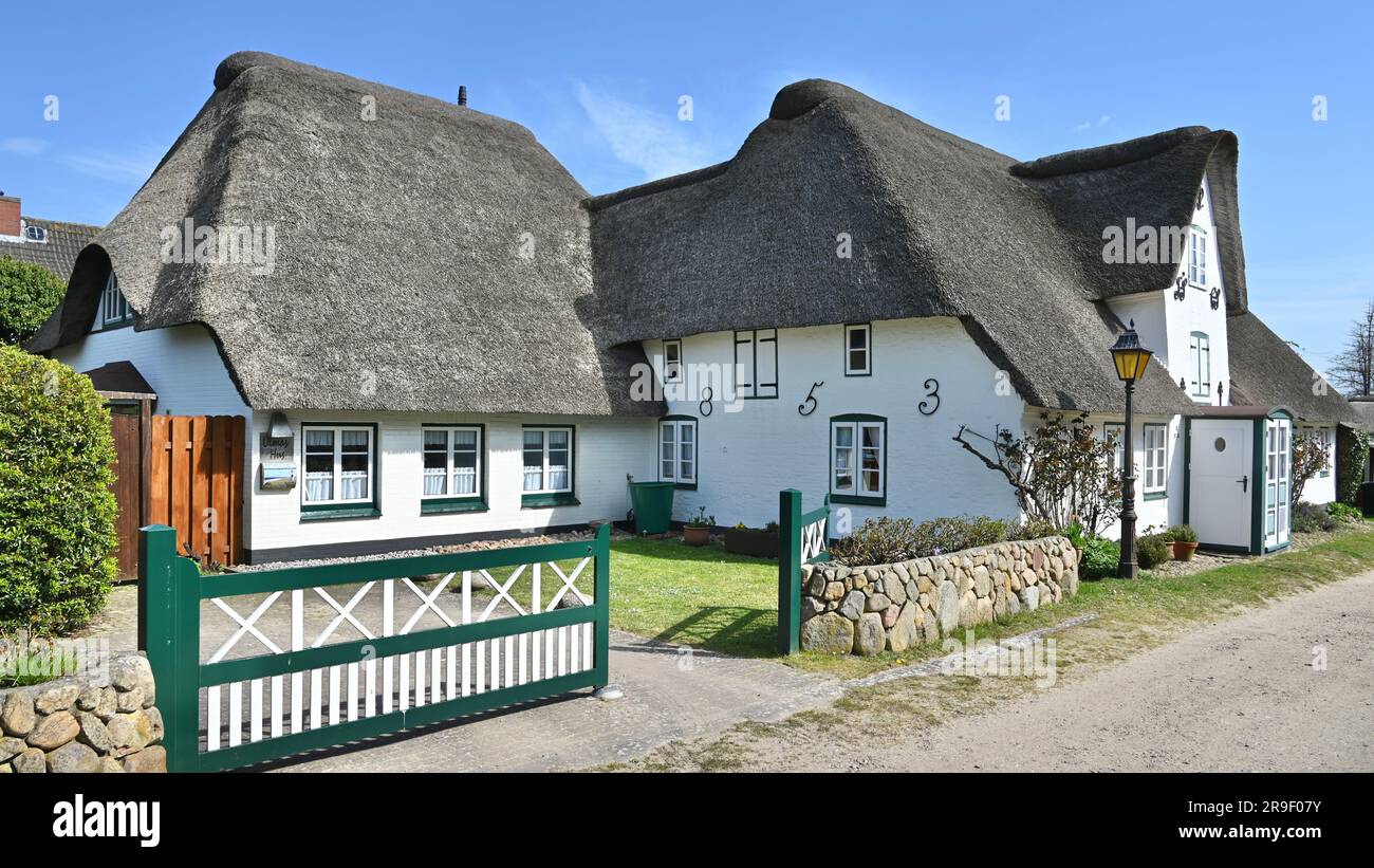 Friesenhaus, une maison en lambeaux dans le village de Nebel sur Amrum,, îles frisonnes, mer des Wadden, Allemagne Banque D'Images