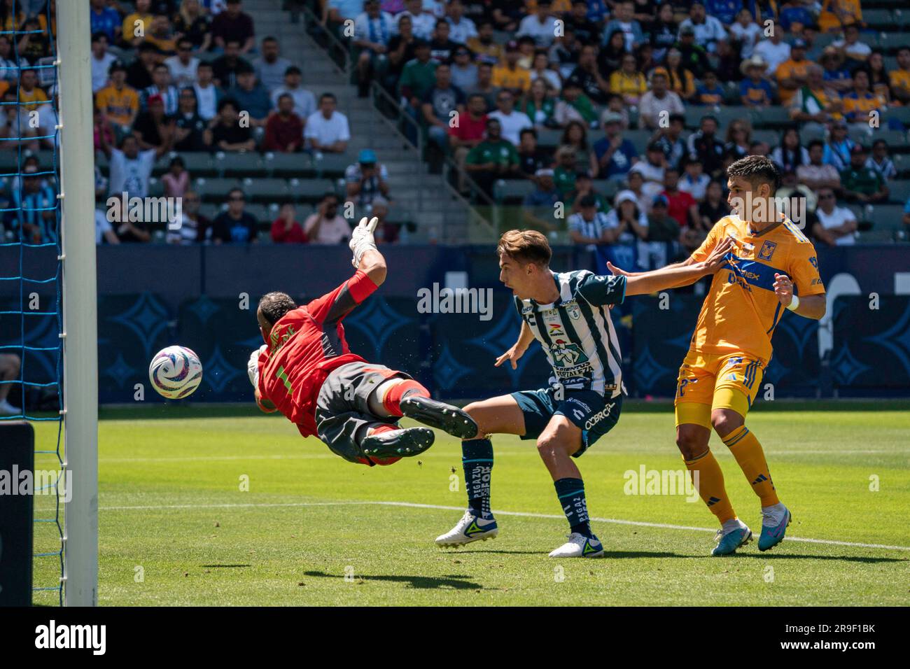 Le gardien de but UANL Tigres Nahuel Guzmán (1) plonge pour un tir qui s'étend lors d'un match de Campeón de Campeones Liga MX contre Pachuca, dimanche, 25 juin, Banque D'Images