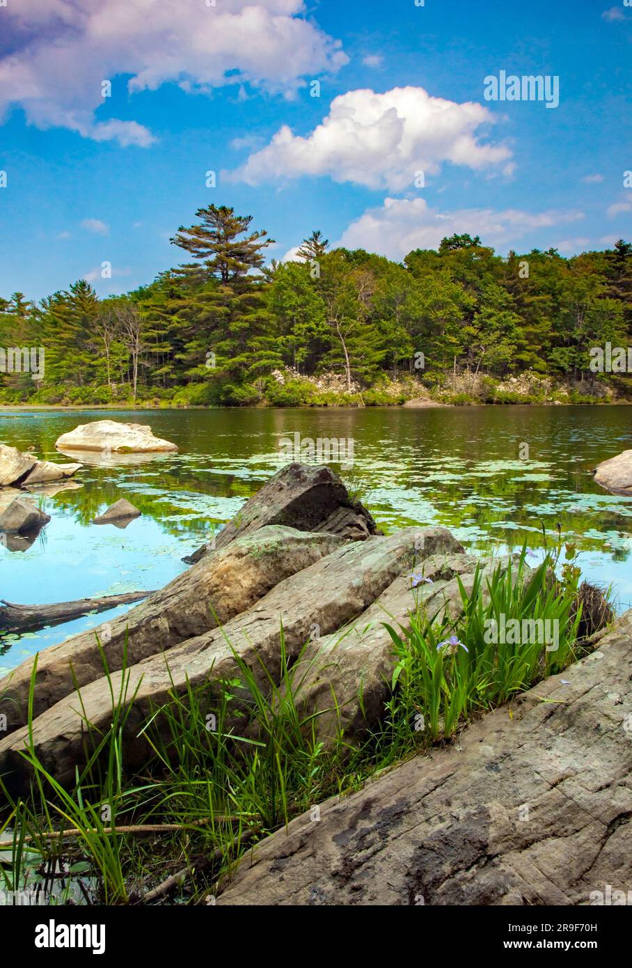 Egypt Meadows Lake dans la zone naturelle de la forêt nationale de Bruce Lake, Pocono Mountains, Pennsylvanie Banque D'Images