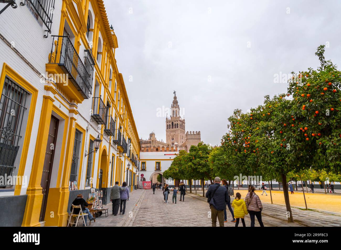 Séville, Espagne-24 FÉVRIER 2022: Le jardin des oranges, El patio de Los Naranjos, la cour de la Grande Mosquée de Séville construite pendant le règne de t Banque D'Images