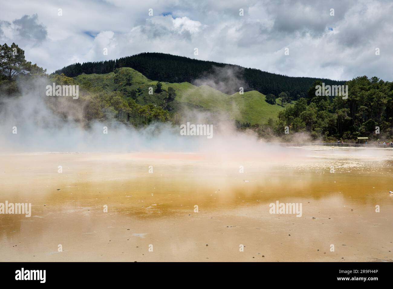 La piscine du lac Artists Palate à Waiotapu – Wai-o-tapu – Thermal Wonderland dans la région de Rotorua, en Nouvelle-Zélande. Photo : Rob Watkins Banque D'Images