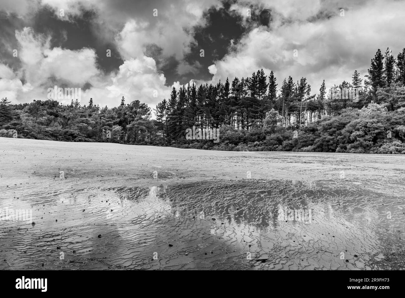 Terrasse de silice à Waiotapu – Wai-o-tapu – Thermal Wonderland dans la région de Rotorua, en Nouvelle-Zélande. Photo : Rob Watkins Banque D'Images