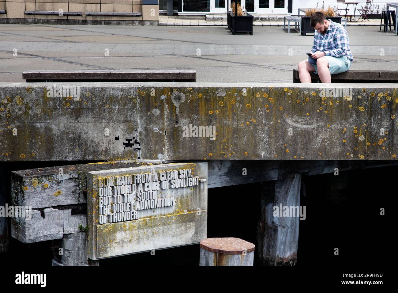 Un homme sur son téléphone sur le mur de la mer dans la zone portuaire de Wellington, capitale de la Nouvelle-Zélande. Photo : Rob Watkins Banque D'Images