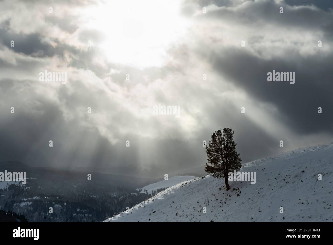 Amérique du Nord ; États-Unis ; Wyoming ; Parc national de Yellowstone ; hiver ; Tempête de neige; paysage; poutres de soleil Banque D'Images