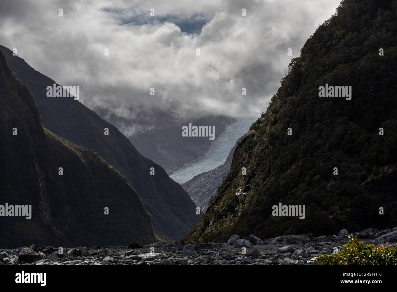 Fox Glacier Valley Walk – te Moeka o Tuawe – Parc national de Westland Tai Poutini, Île du Sud, Nouvelle-Zélande. Photo : Rob Watkins Banque D'Images