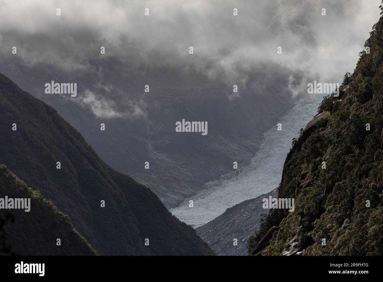 Fox Glacier Valley Walk – te Moeka o Tuawe – Parc national de Westland Tai Poutini, Île du Sud, Nouvelle-Zélande. Photo : Rob Watkins Banque D'Images