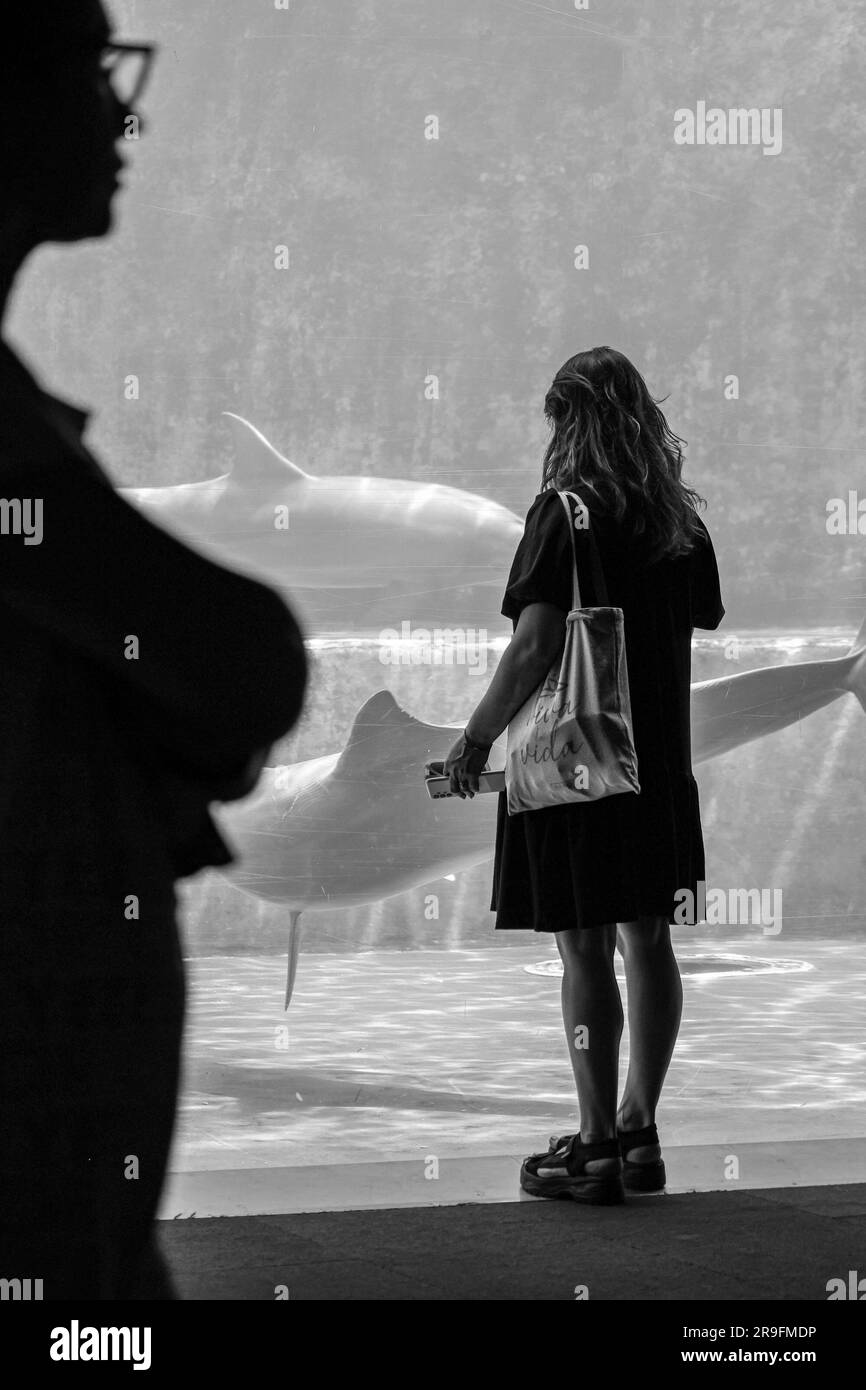 Genova, Ligurie, ITALIE. 21st juin 2023. 21/06/2023 l'ancien port et l'aquarium de Gênes qui est le plus grand d'Europe (Credit image: © Fabio Sasso/ZUMA Press Wire) USAGE ÉDITORIAL SEULEMENT! Non destiné À un usage commercial ! Banque D'Images