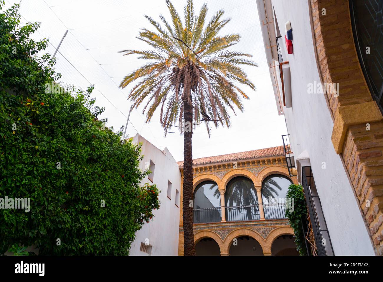 Cordoue, Espagne - 25 février 2022 : Musée de la corrida de Cordoue, Museo Taurino de Cordoue dans le quartier juif, Juderia, Cordoue, Espagne. Banque D'Images