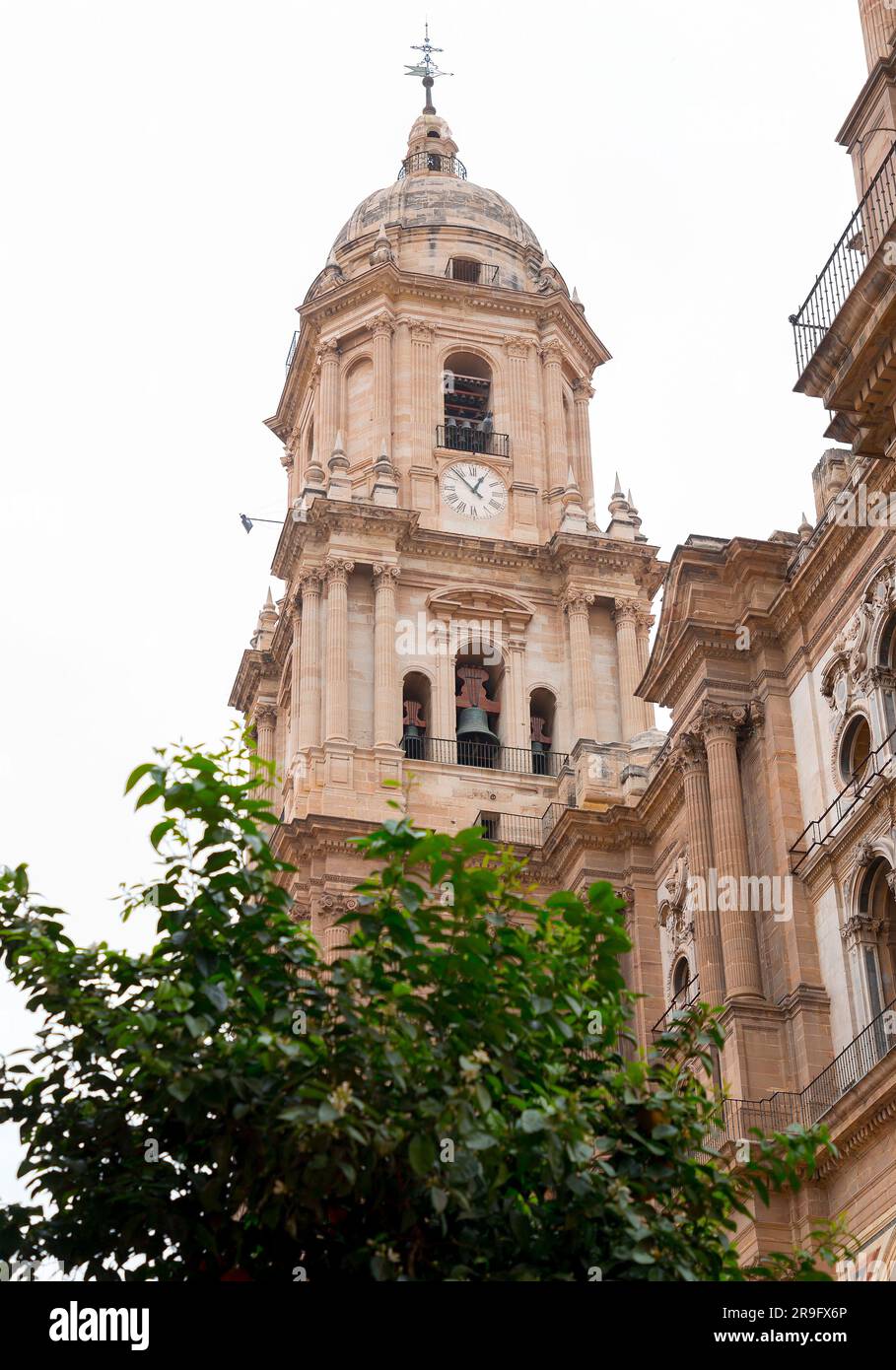 La cathédrale de Malaga est une église catholique romaine à Malaga, Andalousie, sud de l'Espagne. Architecture de style Renaissance avec détails baroques. Banque D'Images La cathédrale de Malaga est une église catholique romaine à Malaga, Andalousie, sud de l'Espagne. Architecture de style Renaissance avec détails baroques. Banque D'Images