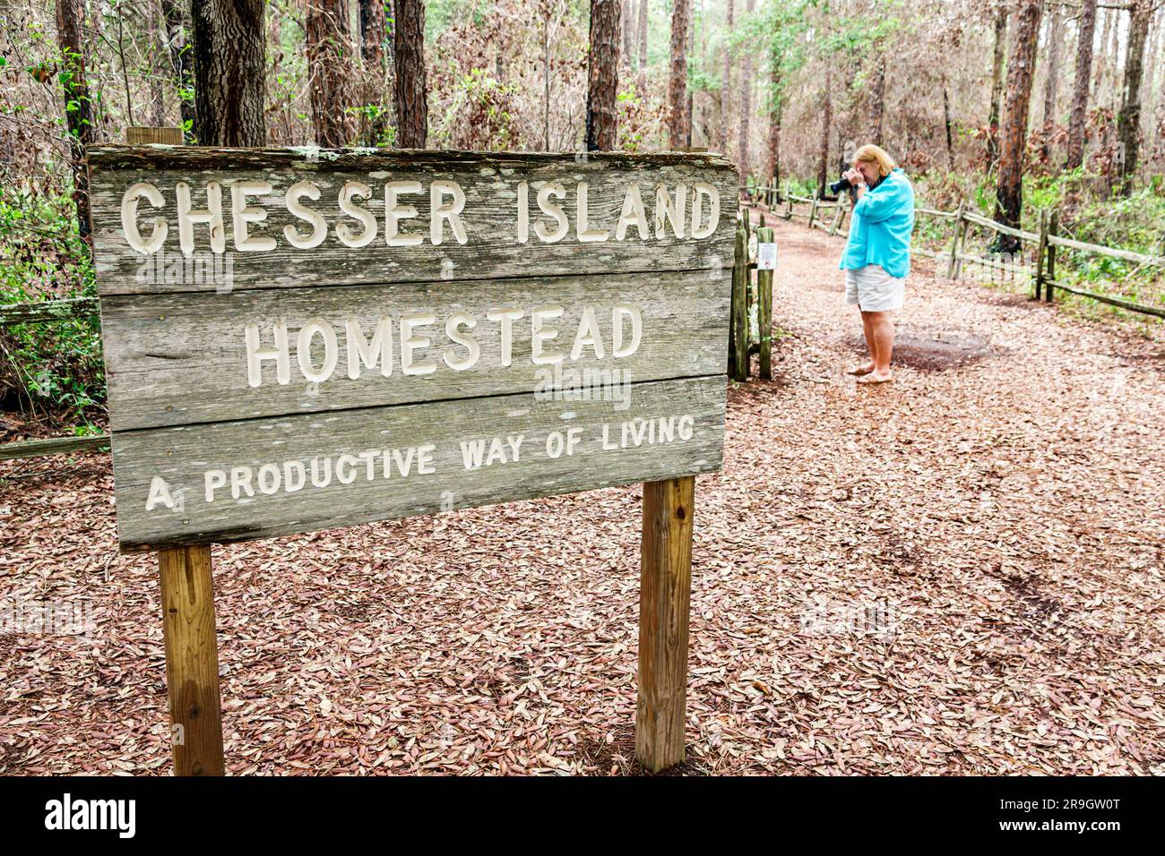 Folkston Georgia, marécage de la réserve naturelle nationale d'Okefenokee, panneau du sentier de randonnée de Chesser Island Homestead Banque D'Images