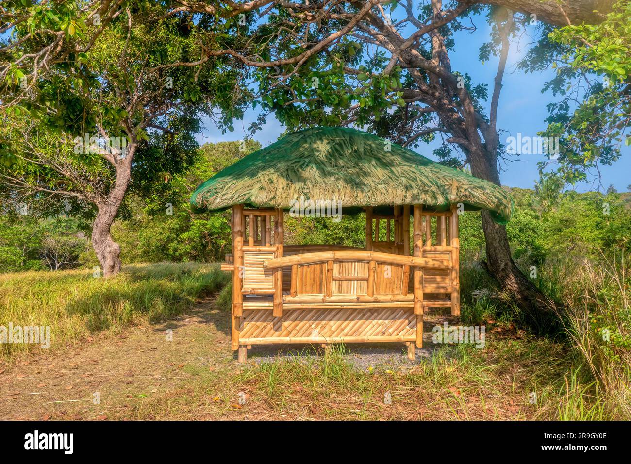 Cabane En Bambou Facile