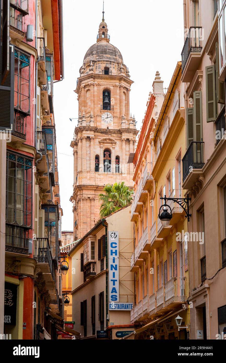 Malaga, Espagne - 27 FÉVRIER 2022 : la cathédrale de Malaga est une église catholique romaine à Malaga, Andalousie, sud de l'Espagne. Architecture de style Renaissance Banque D'Images Malaga, Espagne - 27 FÉVRIER 2022 : la cathédrale de Malaga est une église catholique romaine à Malaga, Andalousie, sud de l'Espagne. Architecture de style Renaissance Banque D'Images
