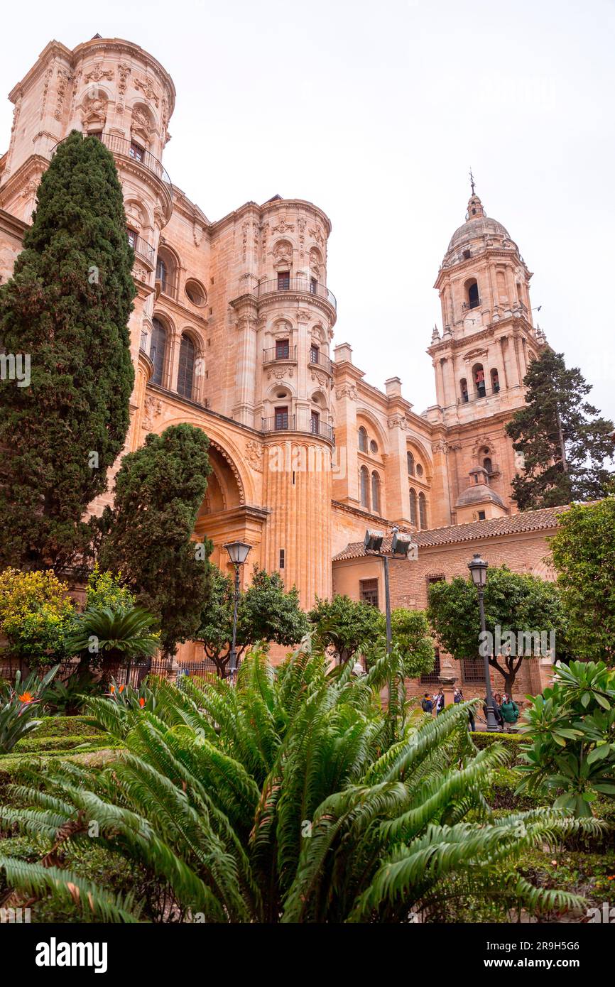 Malaga, Espagne - 27 FÉVRIER 2022 : la cathédrale de Malaga est une église catholique romaine à Malaga, Andalousie, sud de l'Espagne. Architecture de style Renaissance Banque D'Images Malaga, Espagne - 27 FÉVRIER 2022 : la cathédrale de Malaga est une église catholique romaine à Malaga, Andalousie, sud de l'Espagne. Architecture de style Renaissance Banque D'Images